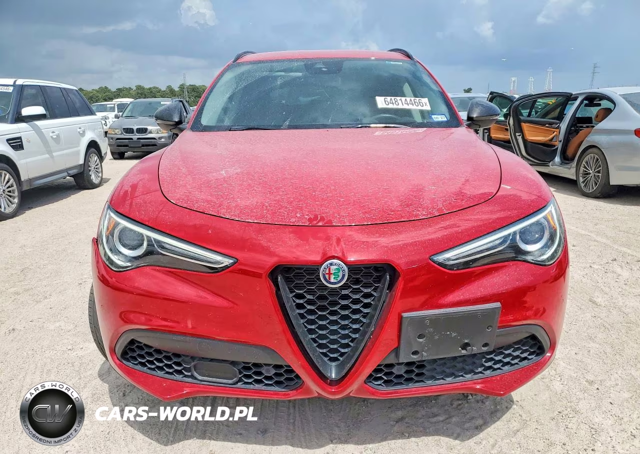2020 Alfa Romeo Stelvio VIN:ZASPAJAN8L7C95007 - 5