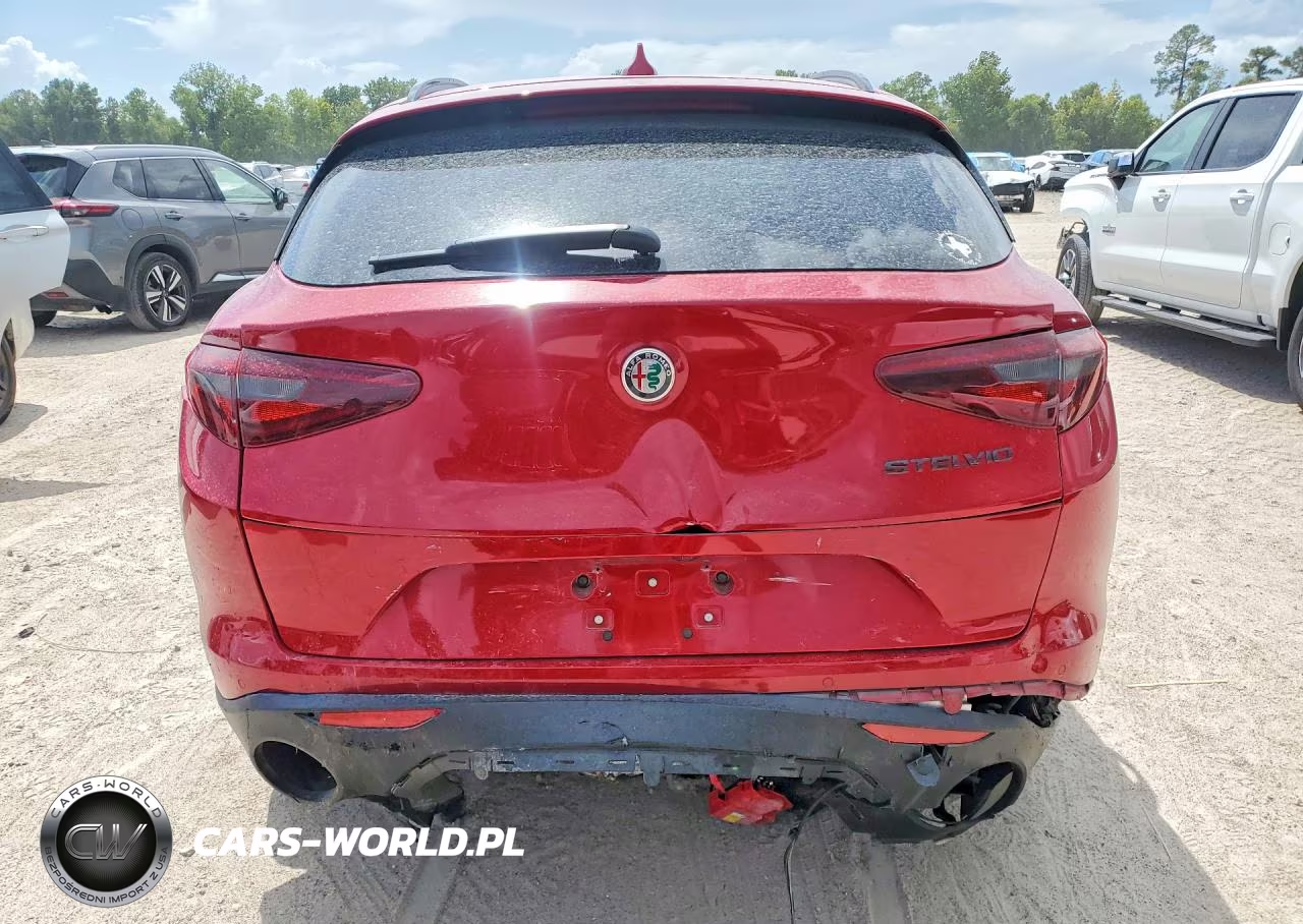 2020 Alfa Romeo Stelvio VIN:ZASPAJAN8L7C95007 - 6