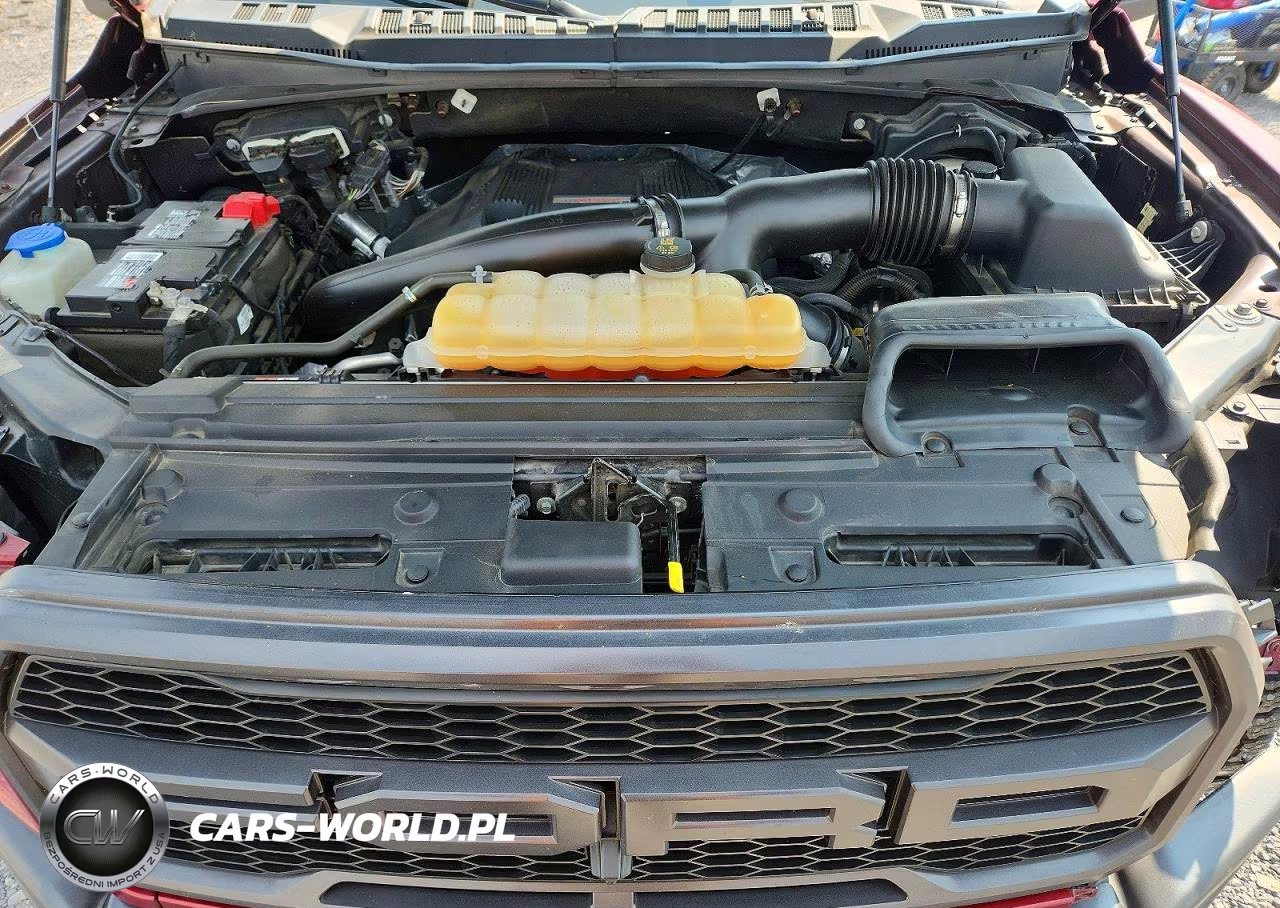 2018 Ford F150 Raptor VIN:1FTFW1RG1JFD94119 - 11