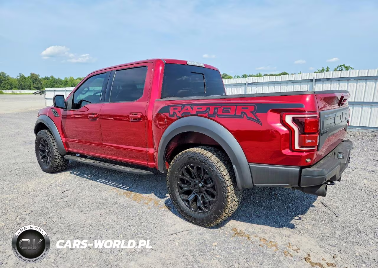 2018 Ford F150 Raptor VIN:1FTFW1RG1JFD94119 - 2