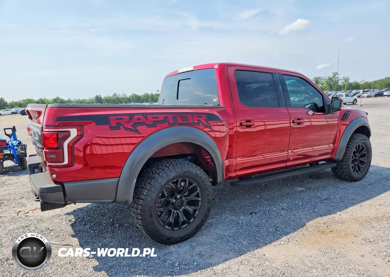 2018 Ford F150 Raptor VIN:1FTFW1RG1JFD94119 - 3