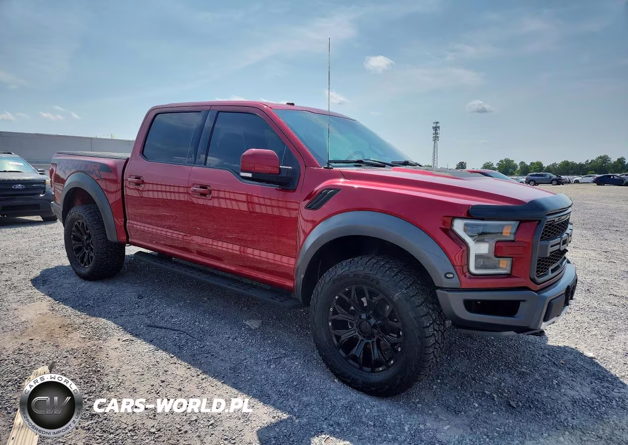 2018 Ford F150 Raptor VIN:1FTFW1RG1JFD94119 - 4