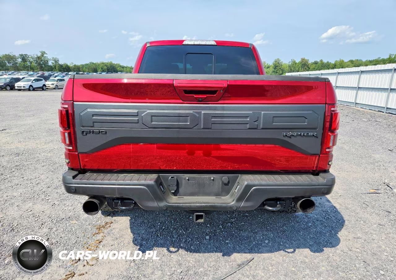 2018 Ford F150 Raptor VIN:1FTFW1RG1JFD94119 - 6