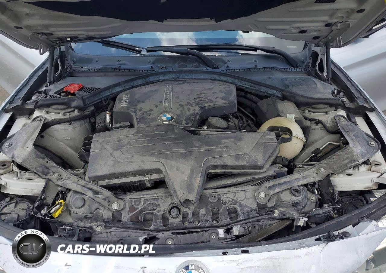 2015 BMW 428 I Sulev VIN:WBA3V7C54FP772660 - 11