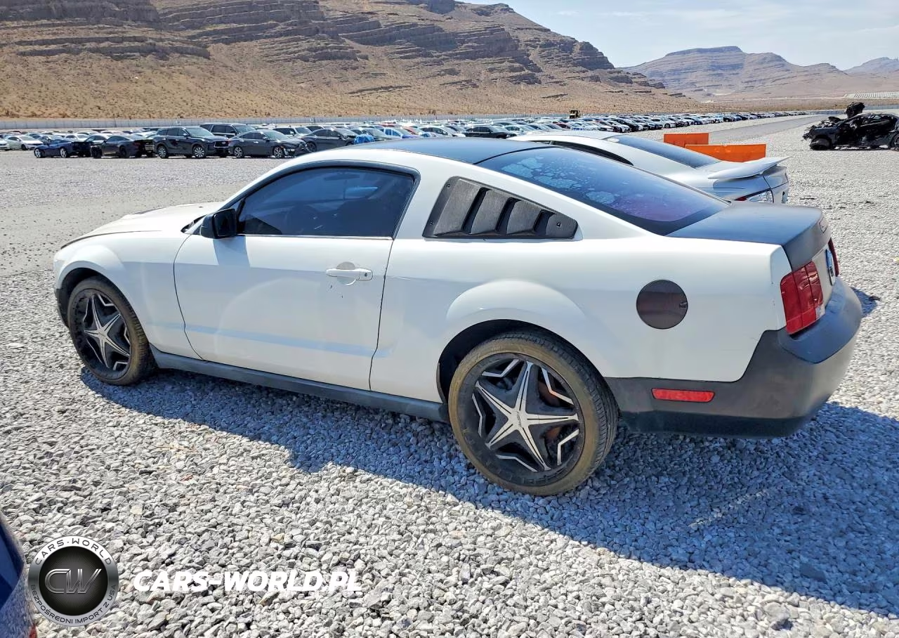 2005 Ford Mustang VIN:1ZVFT80NX55130466 - 2