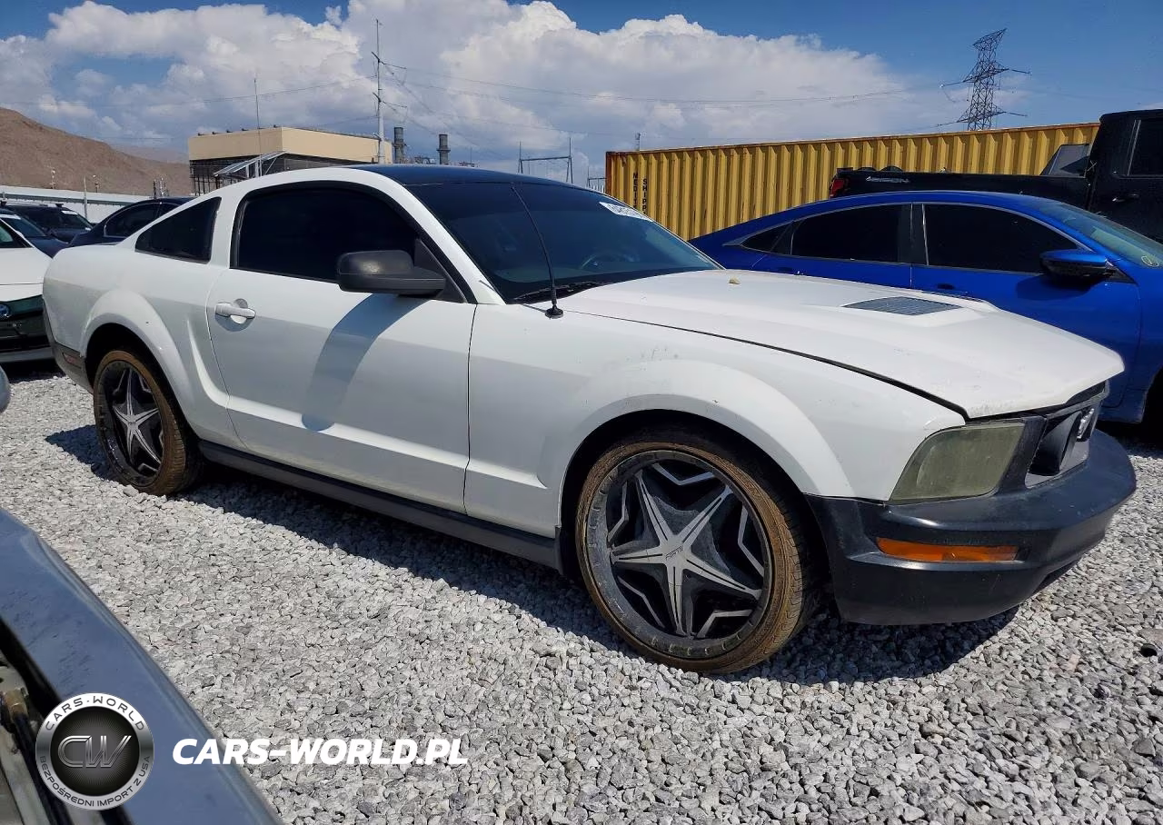 2005 Ford Mustang VIN:1ZVFT80NX55130466 - 4
