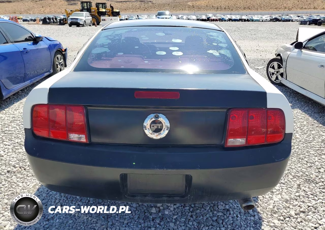 2005 Ford Mustang VIN:1ZVFT80NX55130466 - 6