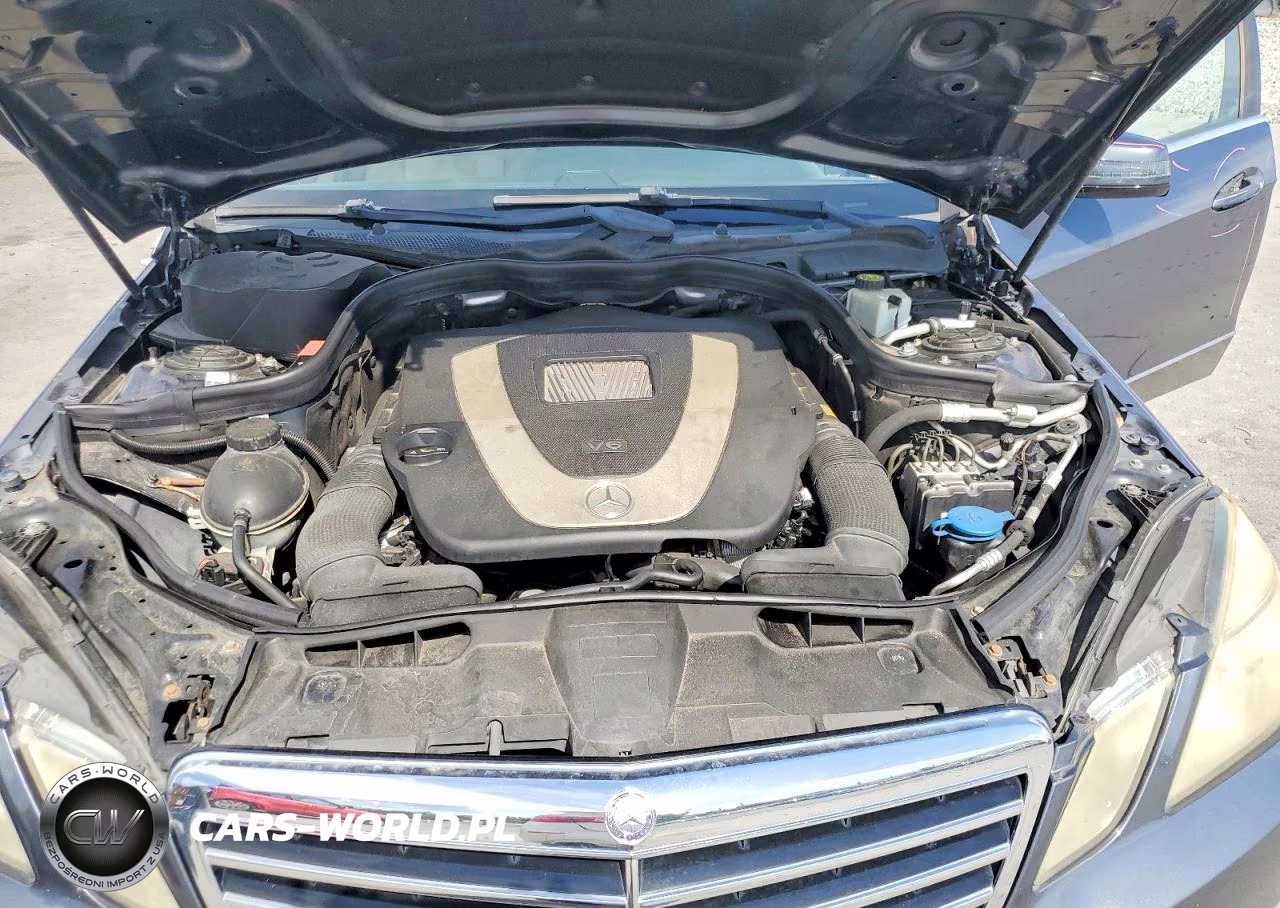 2010 Mercedes-Benz E 350 VIN:WDDHF5GBXAA134666 - 11