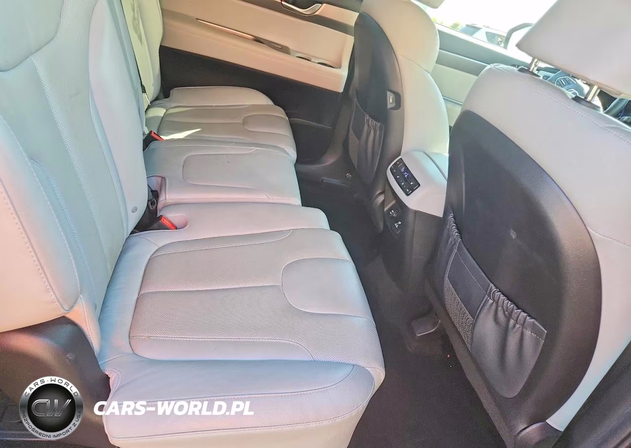 2020 Hyundai Palisade Limited VIN:KM8R44HE7LU110037 - 11