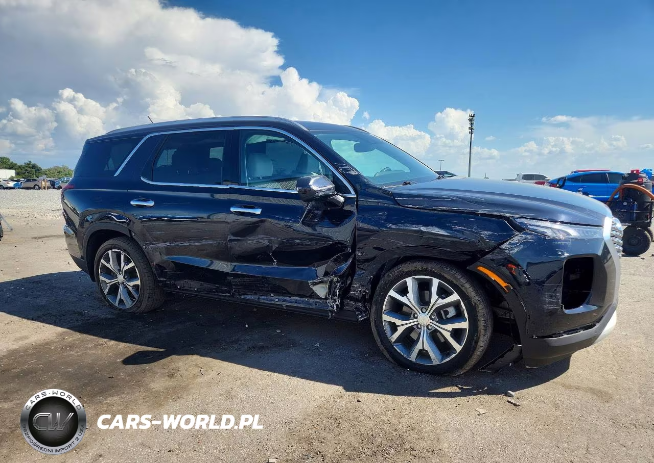 2020 Hyundai Palisade Limited VIN:KM8R44HE7LU110037 - 4