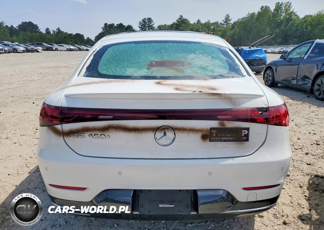 2022 Mercedes-Benz Eqs Sedan 450+ VIN:W1KCG2DB5NA014130 - 6