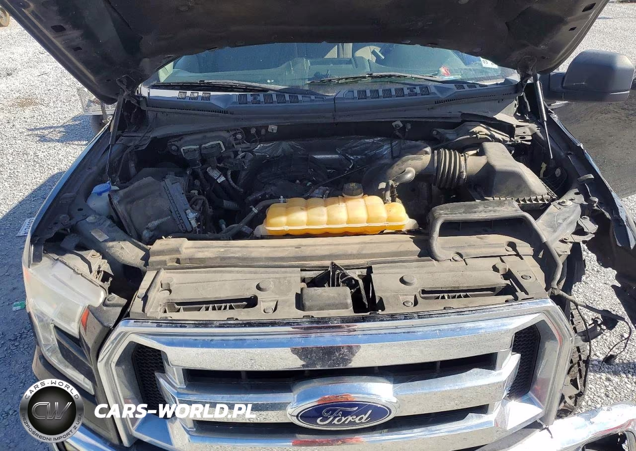 2017 Ford F150 Supercrew VIN:1FTEW1E86HFB12464 - 11