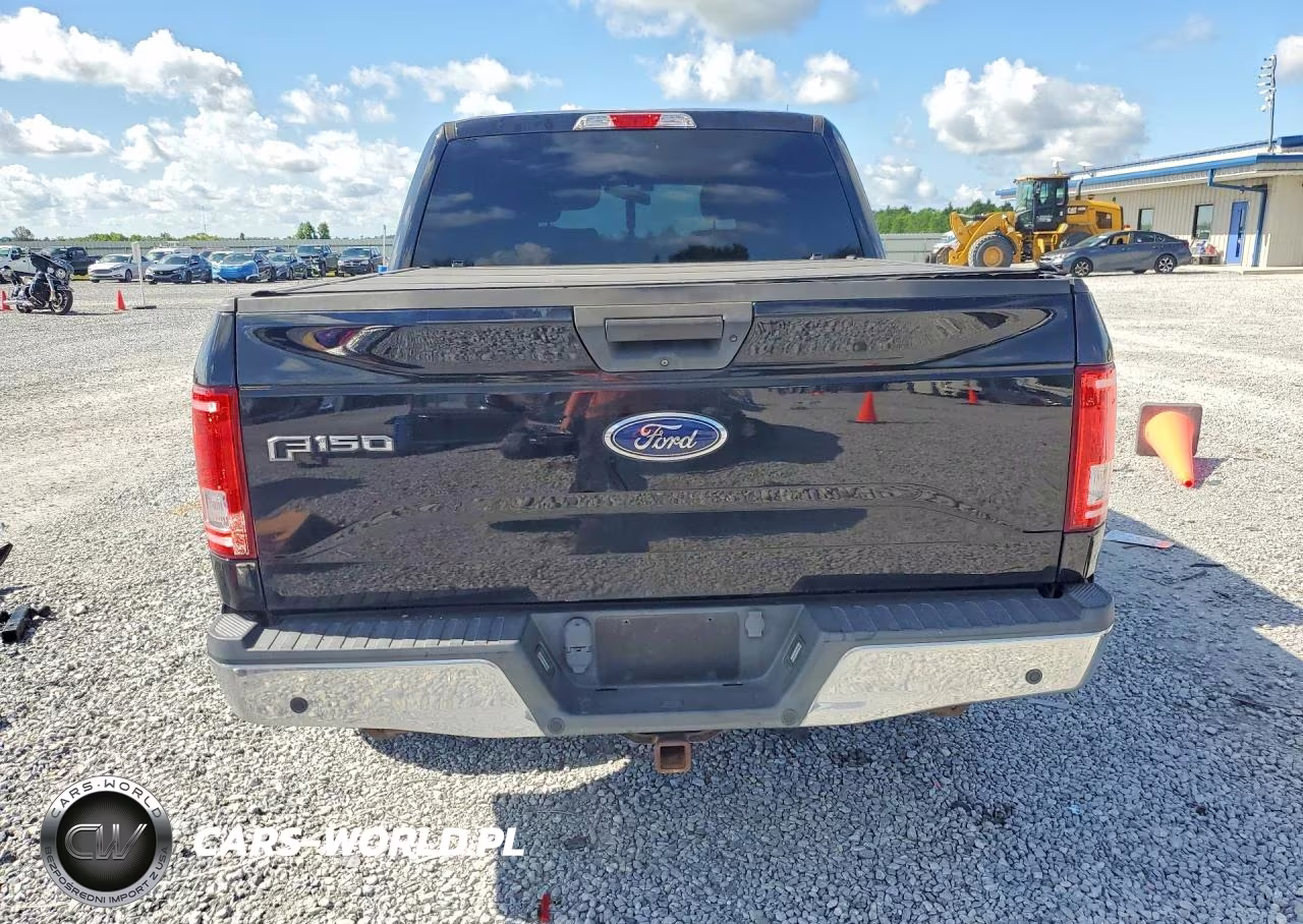 2017 Ford F150 Supercrew VIN:1FTEW1E86HFB12464 - 6