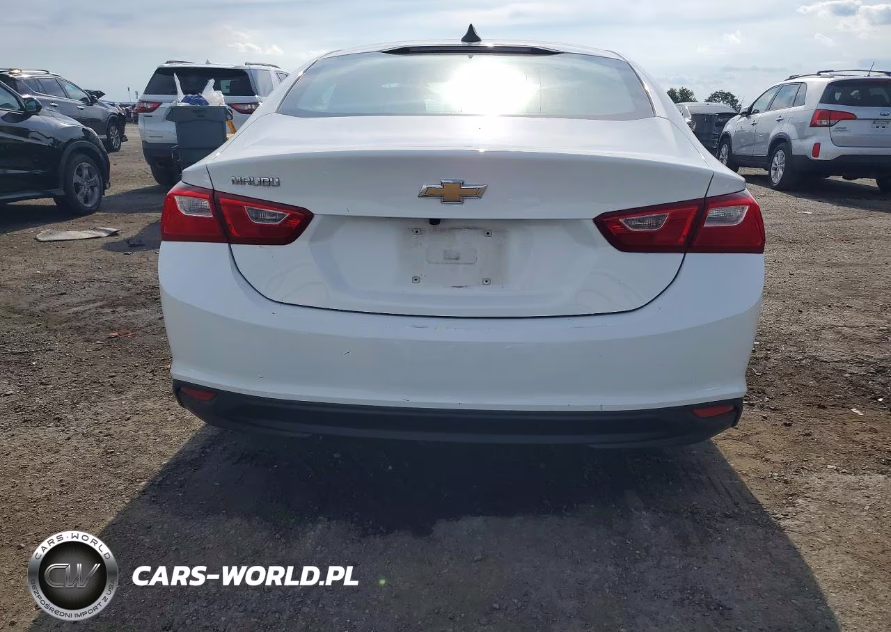 2020 Chevrolet Malibu Ls VIN:1G1ZB5ST7LF020715 - 6