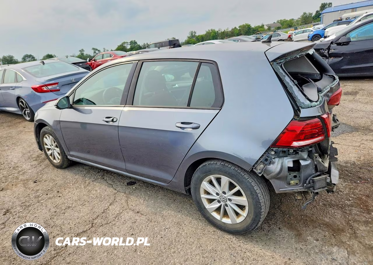 2019 Volkswagen Golf S VIN:3VWG57AUXKM016004 - 2