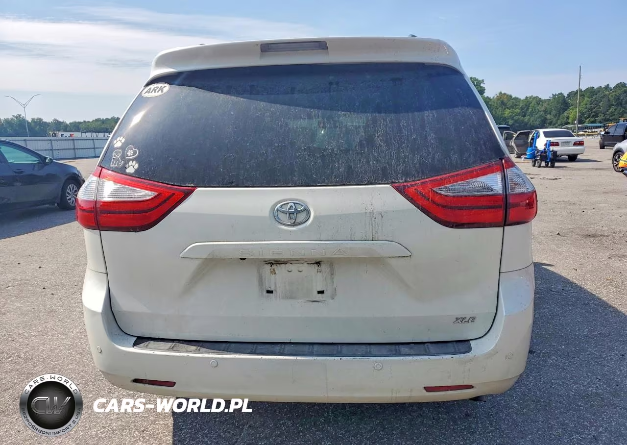 2017 Toyota Sienna Xle 8-Passenger VIN:5TDYZ3DC0HS842165 - 6