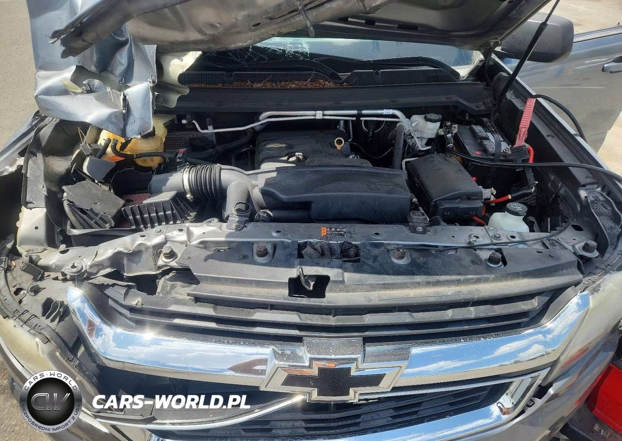 2019 Chevrolet Colorado VIN:1GCGSBEA3K1300179 - 11