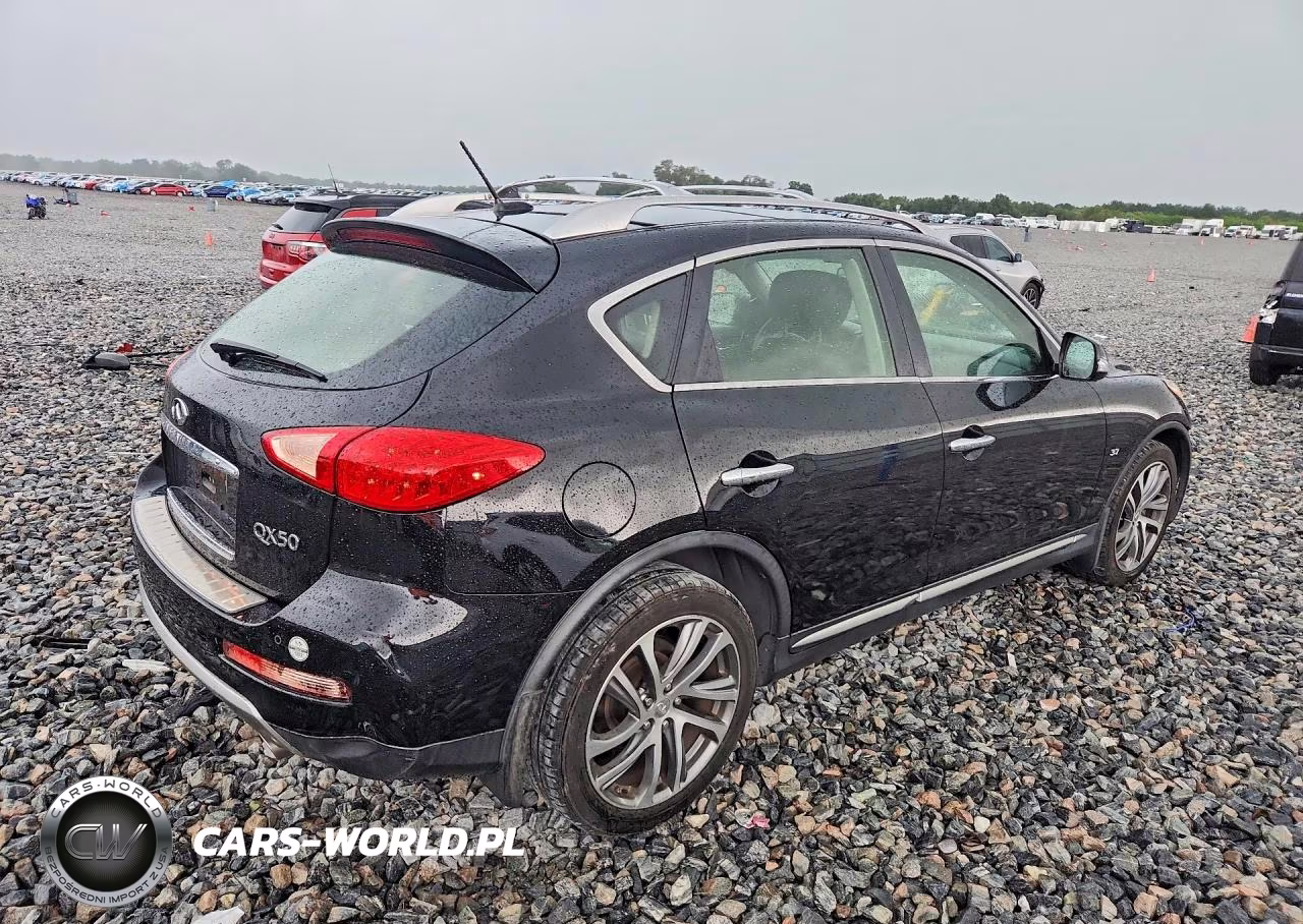 2017 Infiniti Qx50 Base VIN:JN1BJ0RP0HM387887 - 3