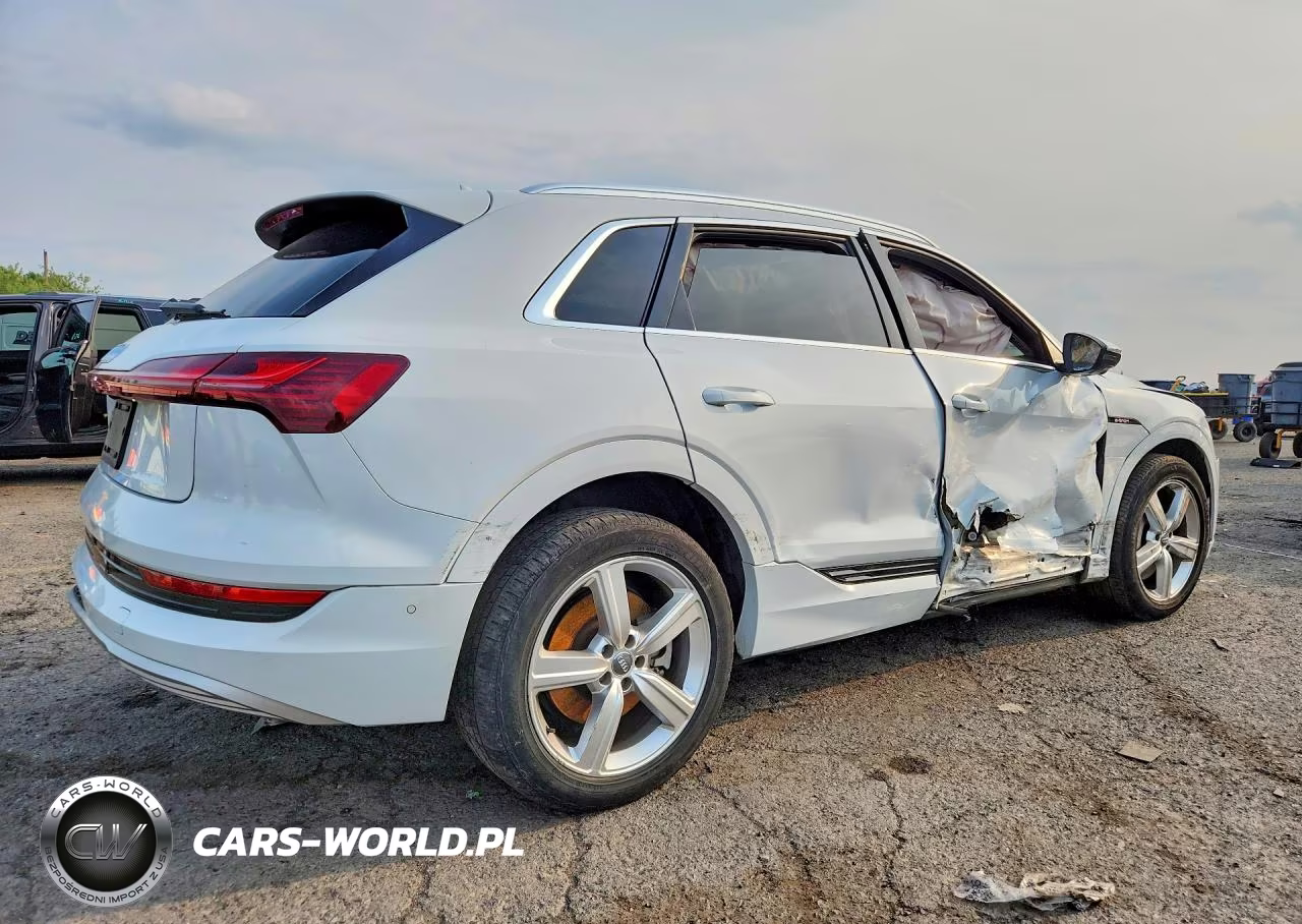 2019 Audi E-Tron Premium Plus VIN:WA1LAAGE3KB022609 - 3
