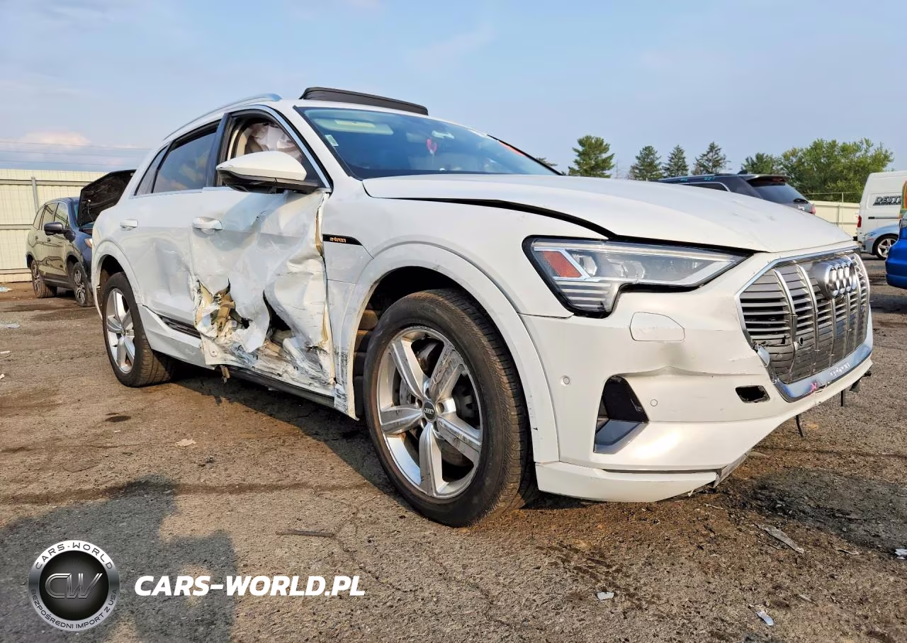 2019 Audi E-Tron Premium Plus VIN:WA1LAAGE3KB022609 - 4