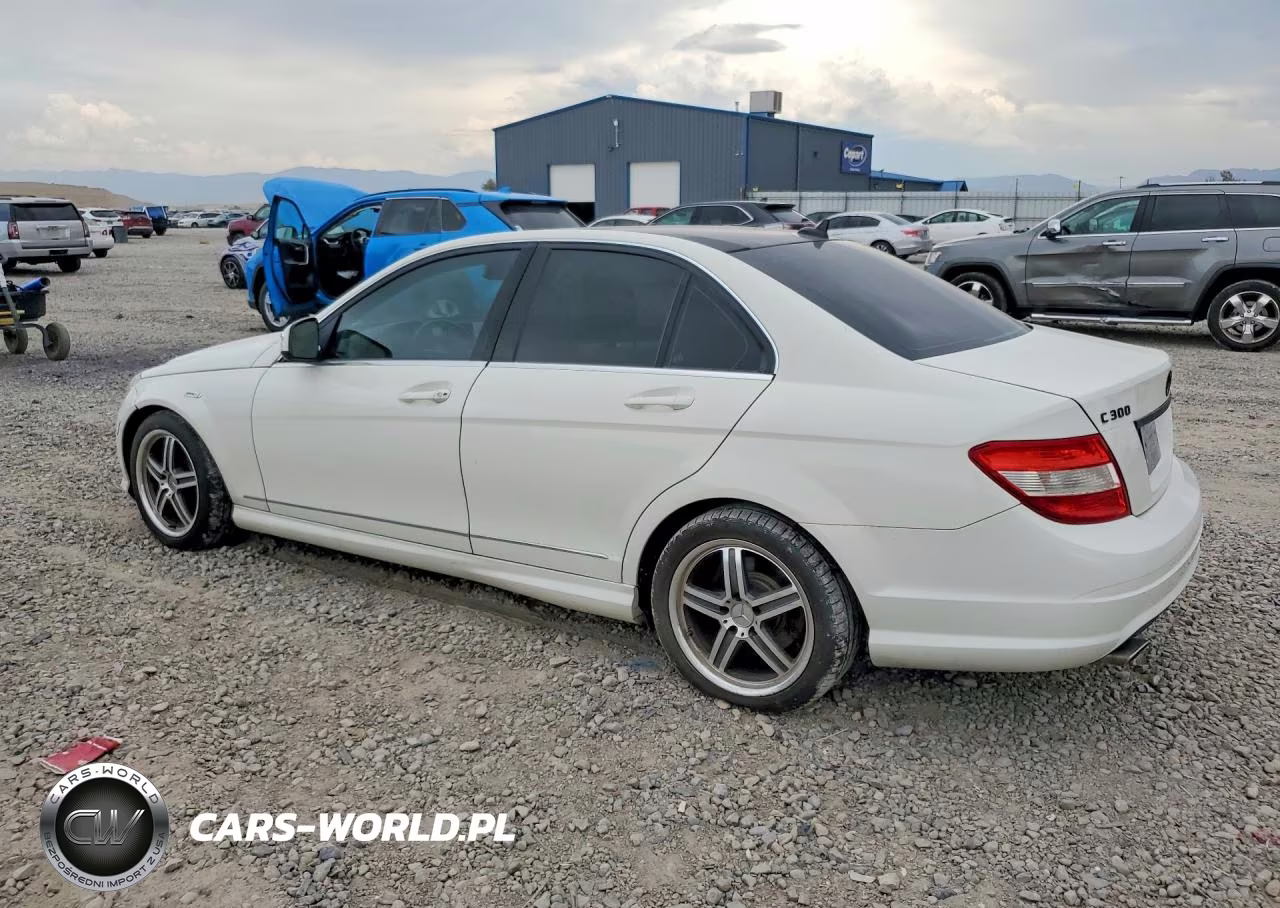2009 Mercedes-Benz C 300 4Matic VIN:WDDGF81X69F243562 - 2