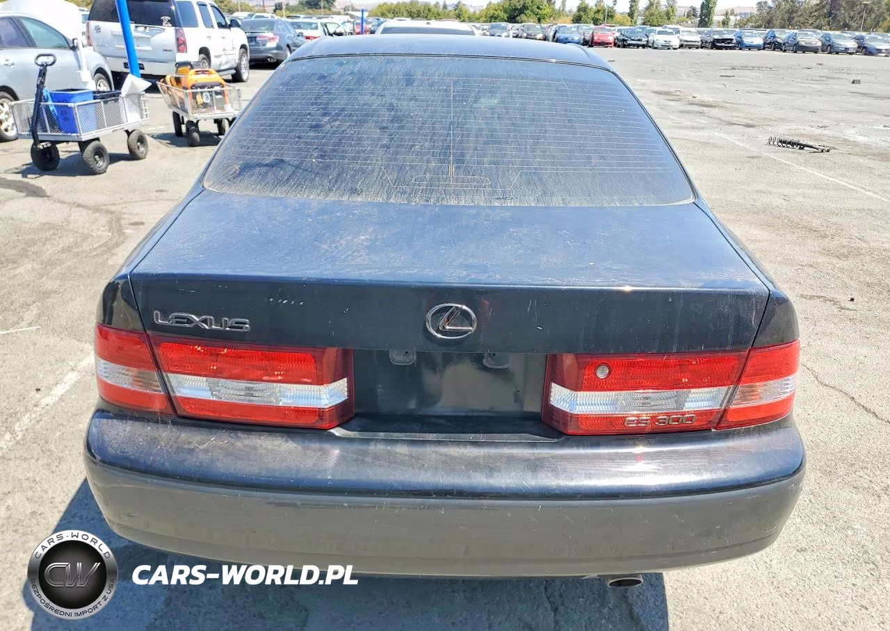 2001 Lexus Es 300 VIN:JT8BF28G710317231 - 6