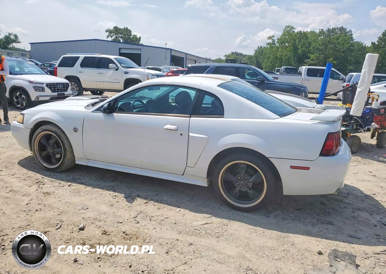 2004 Ford Mustang Gt VIN:1FAFP42X84F212919 - 2