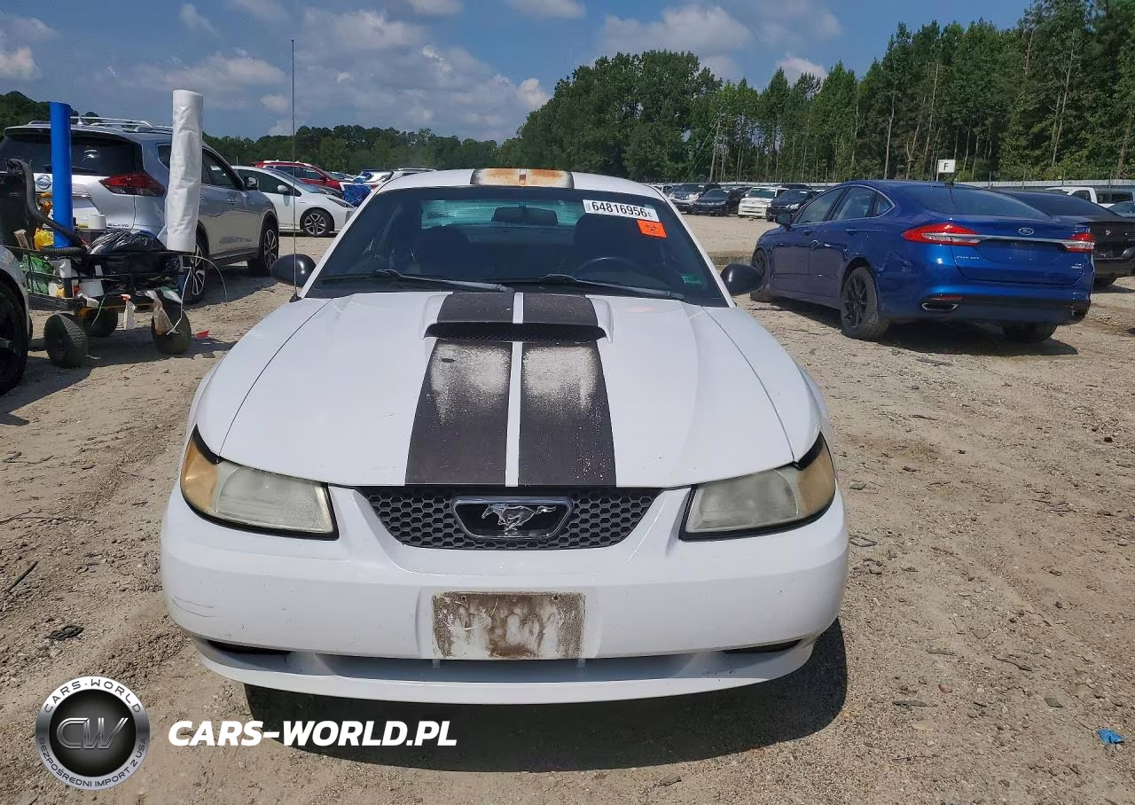 2004 Ford Mustang Gt VIN:1FAFP42X84F212919 - 5