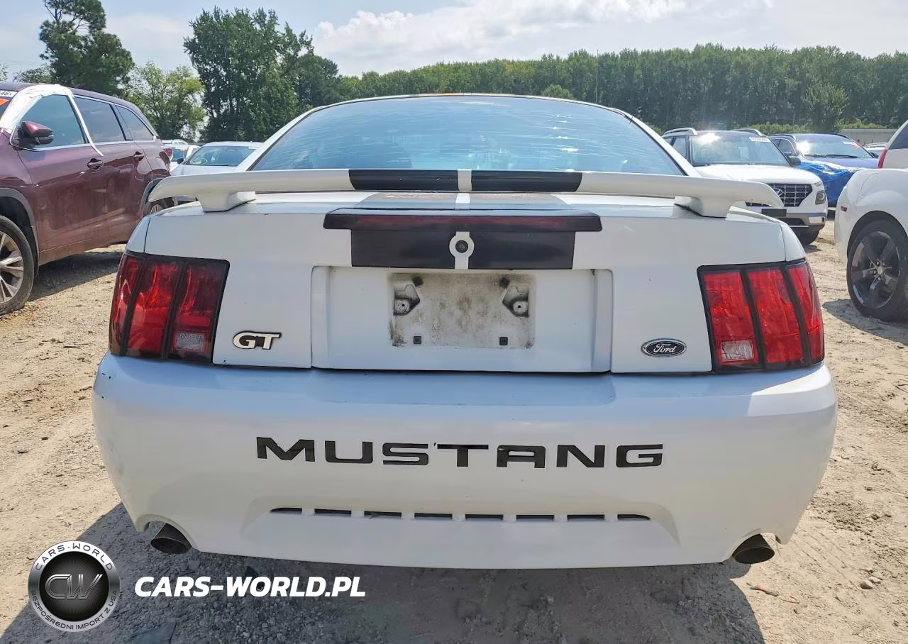 2004 Ford Mustang Gt VIN:1FAFP42X84F212919 - 6
