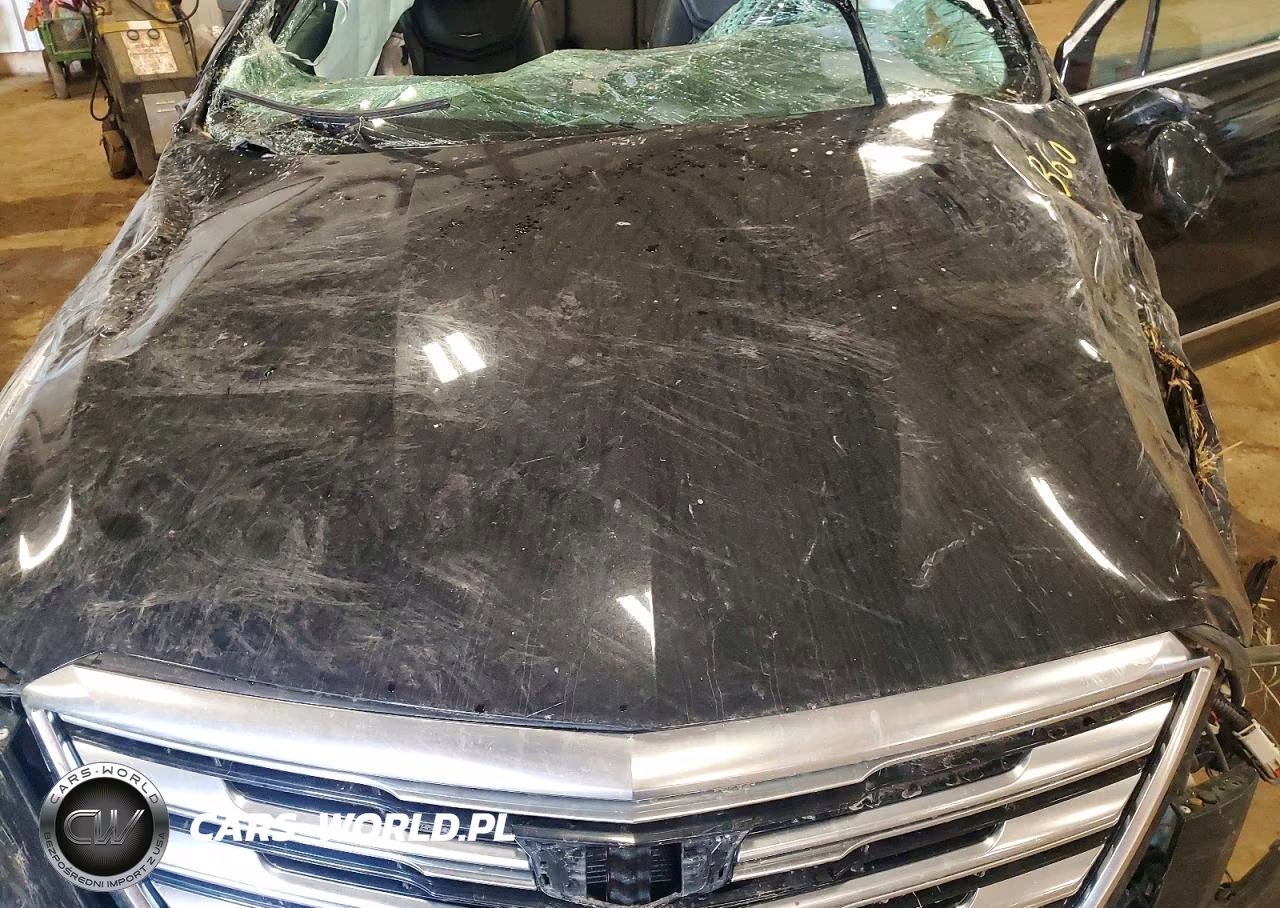 2019 Cadillac Xt5 Luxury VIN:1GYKNDRS8KZ195361 - 12