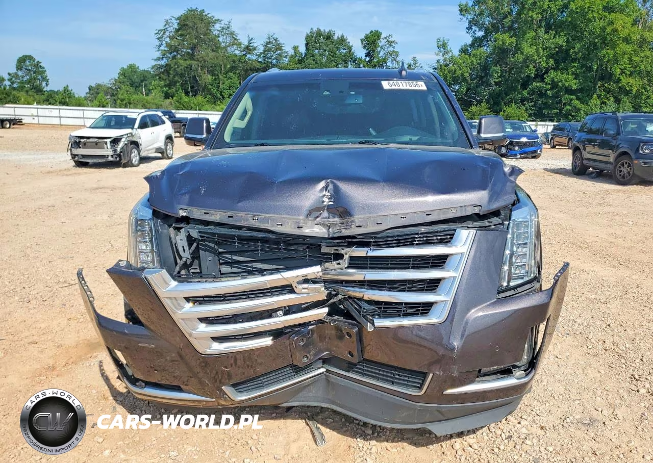 2016 Cadillac Escalade Luxury VIN:1GYS4BKJ2GR178345 - 5