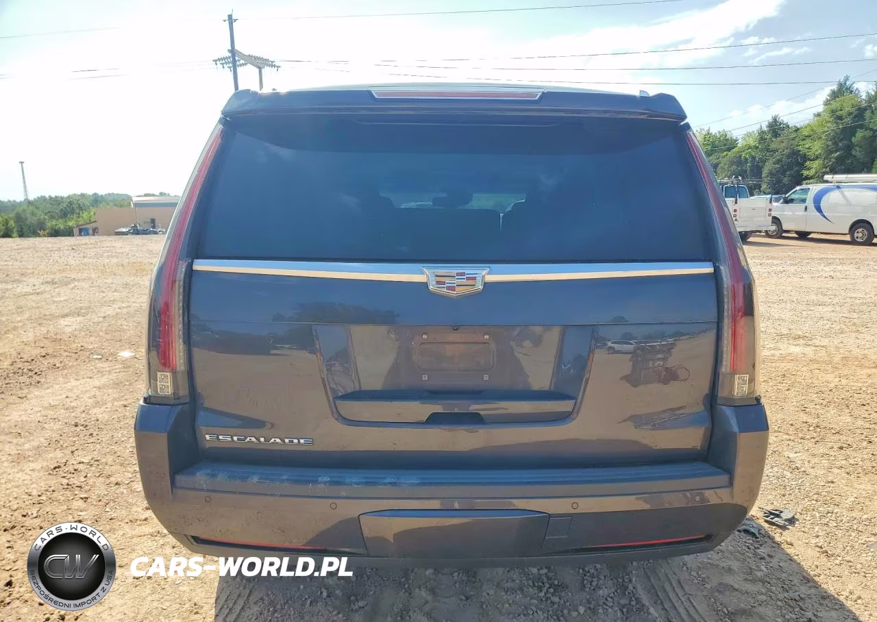 2016 Cadillac Escalade Luxury VIN:1GYS4BKJ2GR178345 - 6