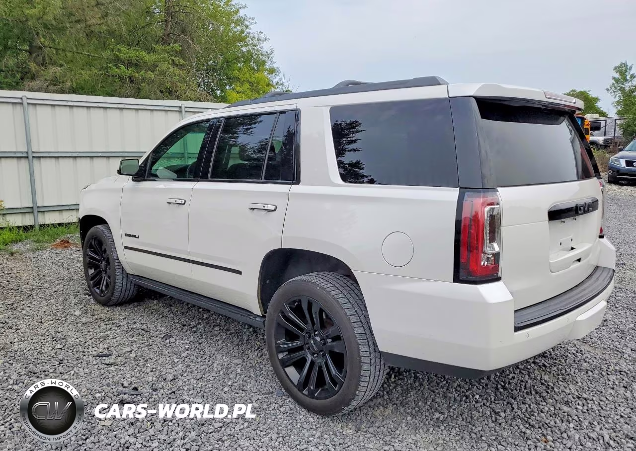 2019 GMC Yukon Denali VIN:1GKS2CKJ9KR405383 - 2