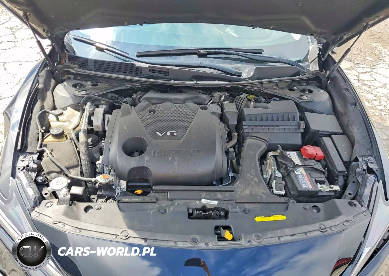2020 Nissan Maxima Sl VIN:1N4AA6DV6LC362675 - 11