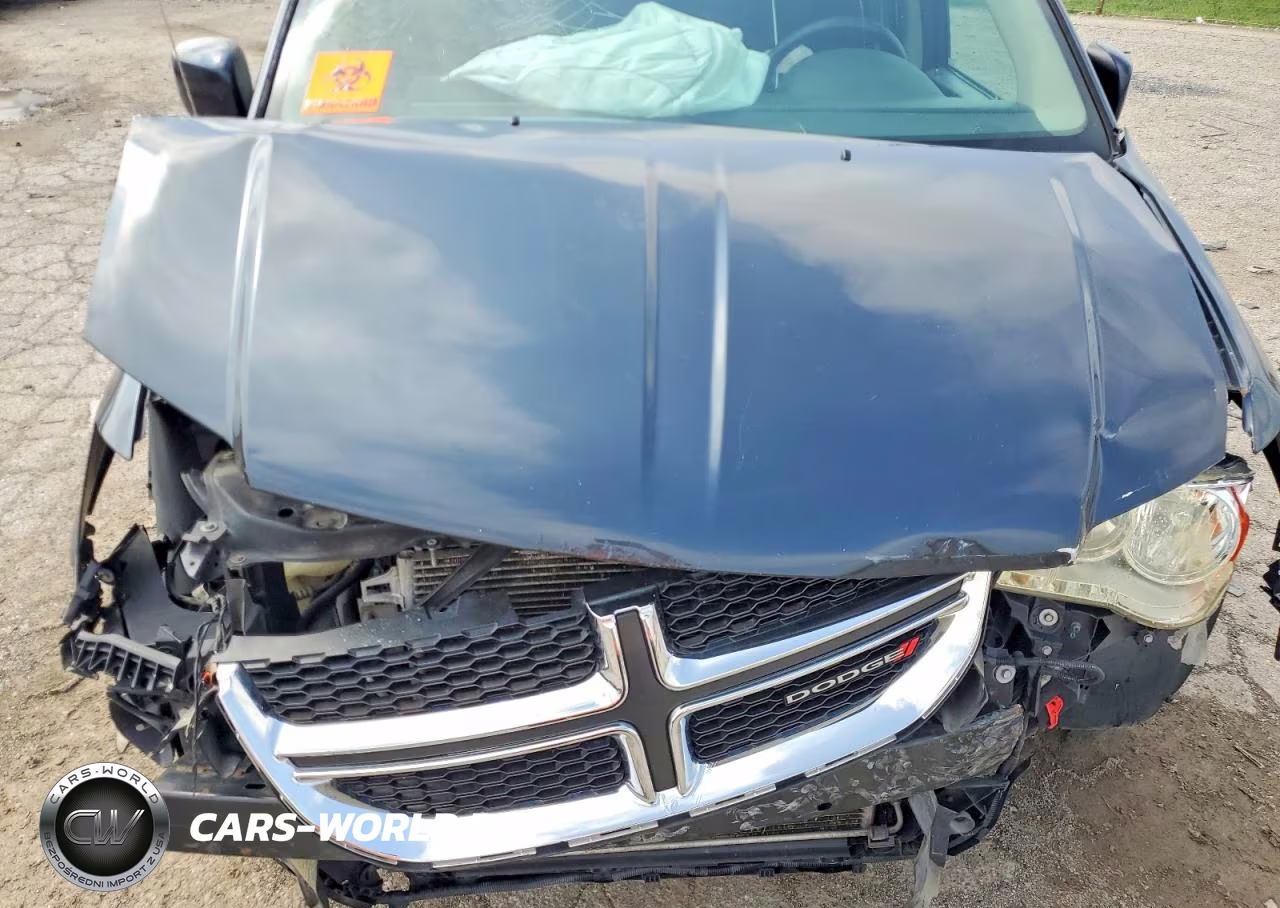2013 Dodge Grand Caravan Sxt VIN:2C4RDGCG2DR749326 - 12