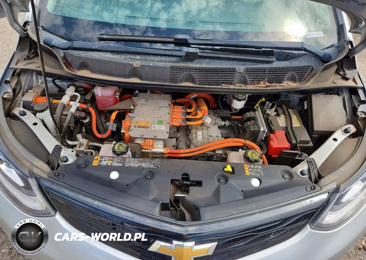 2020 Chevrolet Bolt Ev Premier VIN:1G1FZ6S01L4109556 - 11