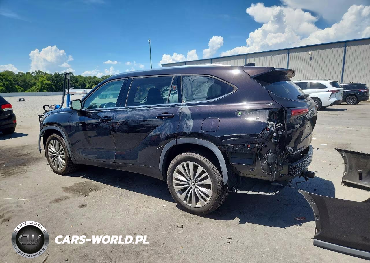 2020 Toyota Highlander Platinum VIN:5TDFZRAH2LS025248 - 2