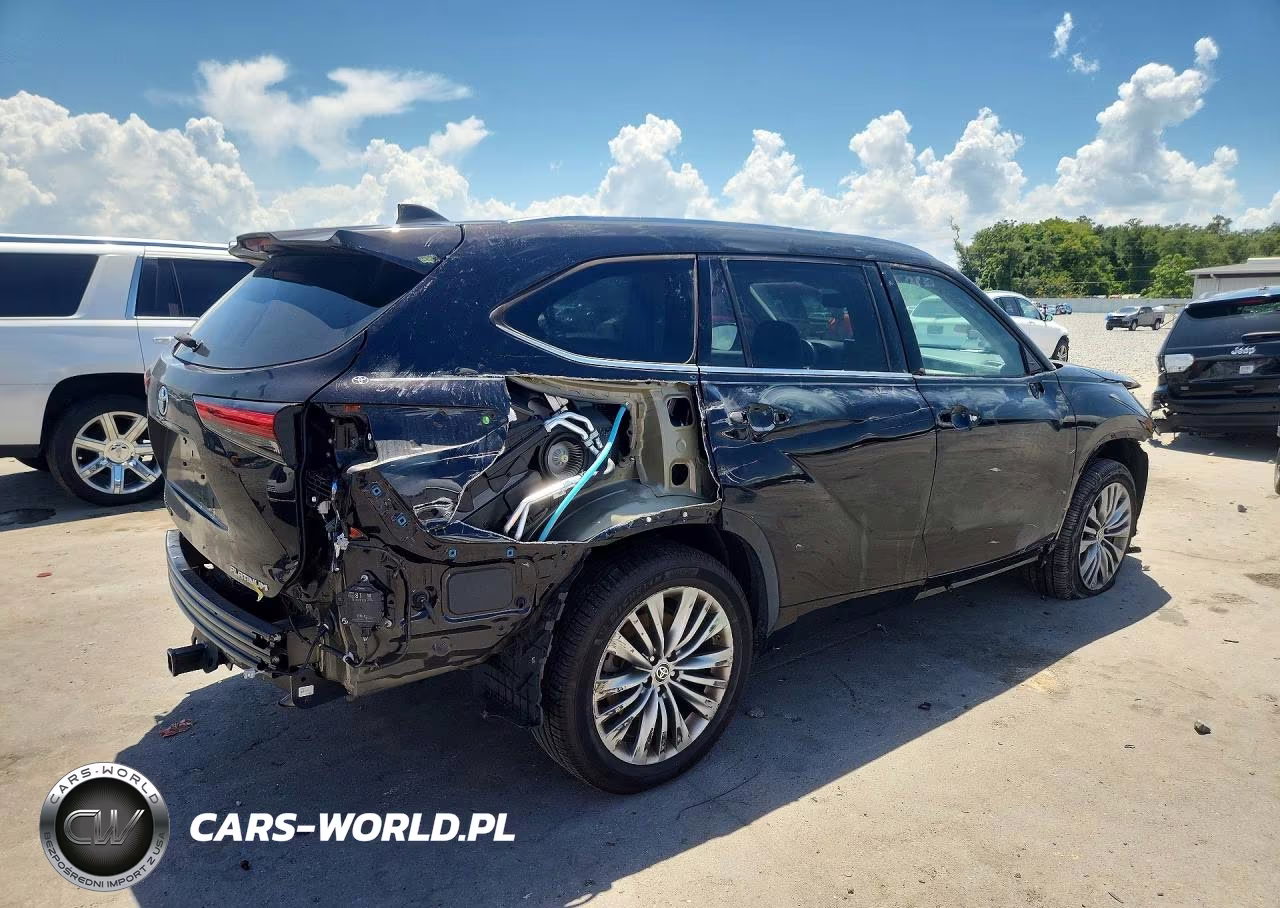 2020 Toyota Highlander Platinum VIN:5TDFZRAH2LS025248 - 3