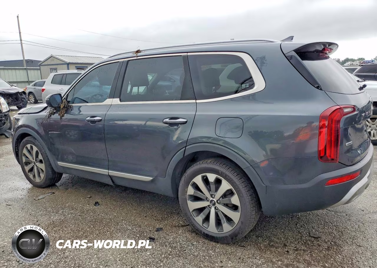 2021 Kia Telluride S VIN:5XYP6DHC2MG109045 - 2