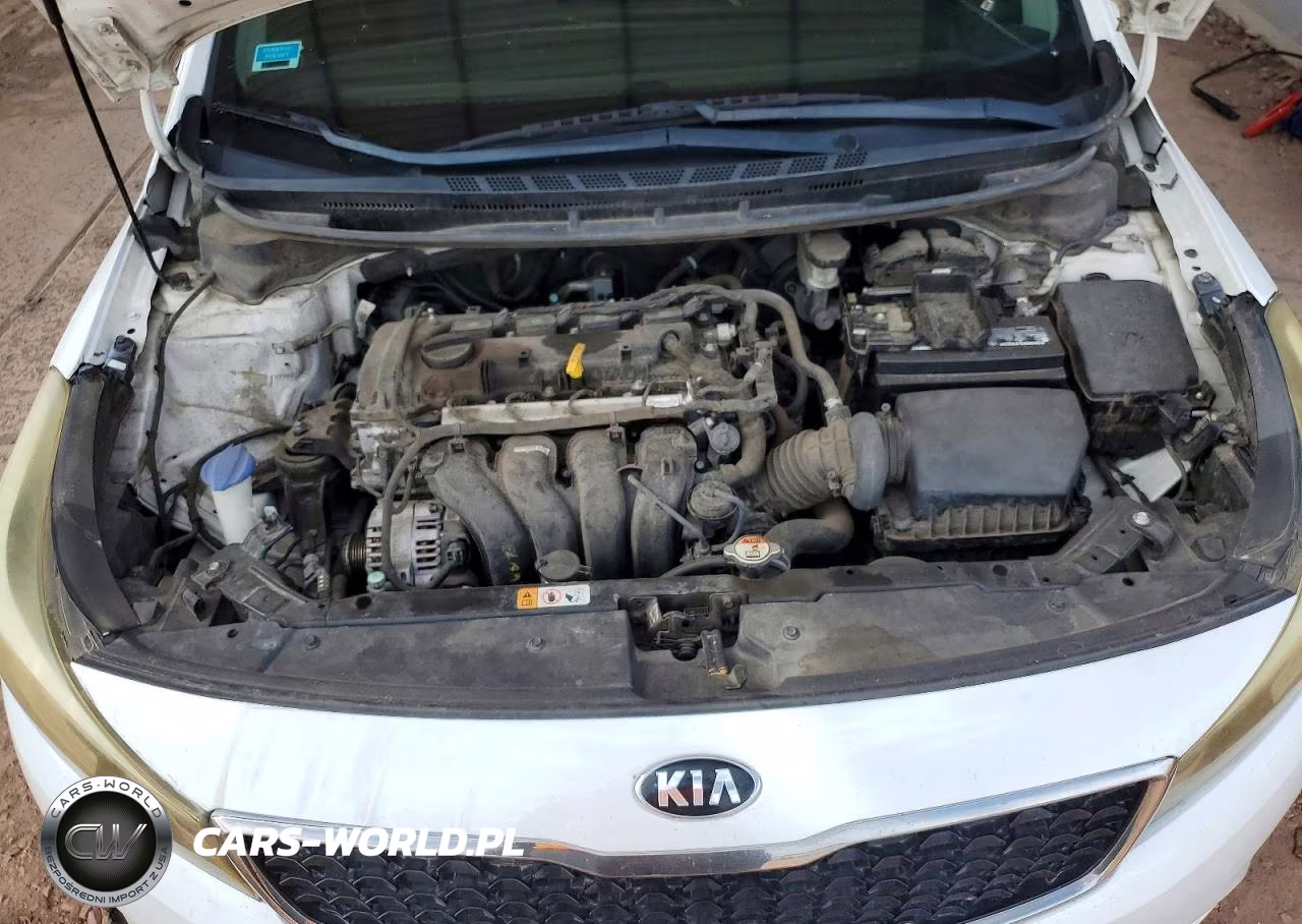 2018 Kia Forte Lx VIN:3KPFL4A78JE213727 - 11