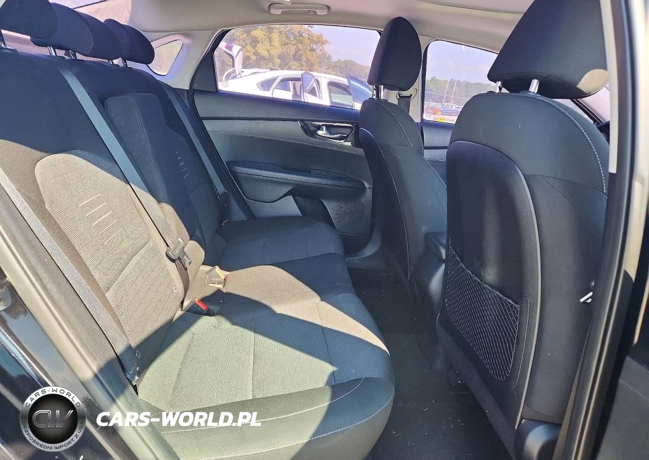 2019 Kia Forte S VIN:3KPF34AD5KE037663 - 10