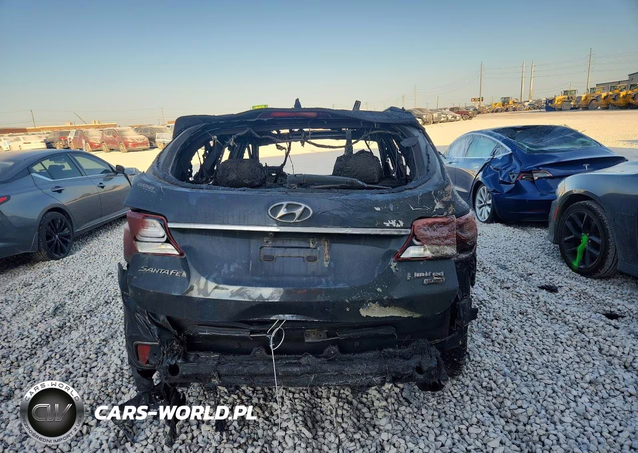 2018 Hyundai Santa Fe Limited Ultimate VIN:KM8SR4HF7JU291407 - 6