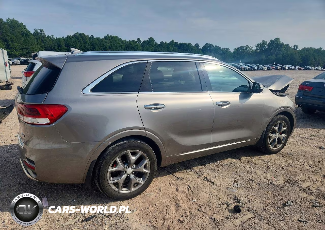 2016 Kia Sorento Sx V6 VIN:5XYPK4A59GG114013 - 3