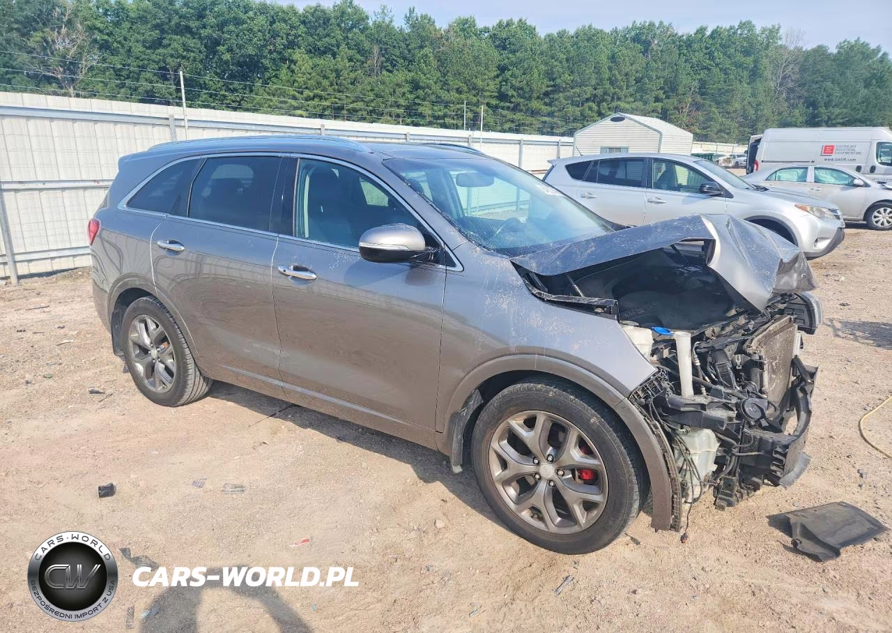 2016 Kia Sorento Sx V6 VIN:5XYPK4A59GG114013 - 4