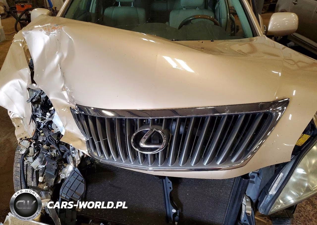 2009 Lexus Rx 350 VIN:2T2HK31U59C102652 - 12