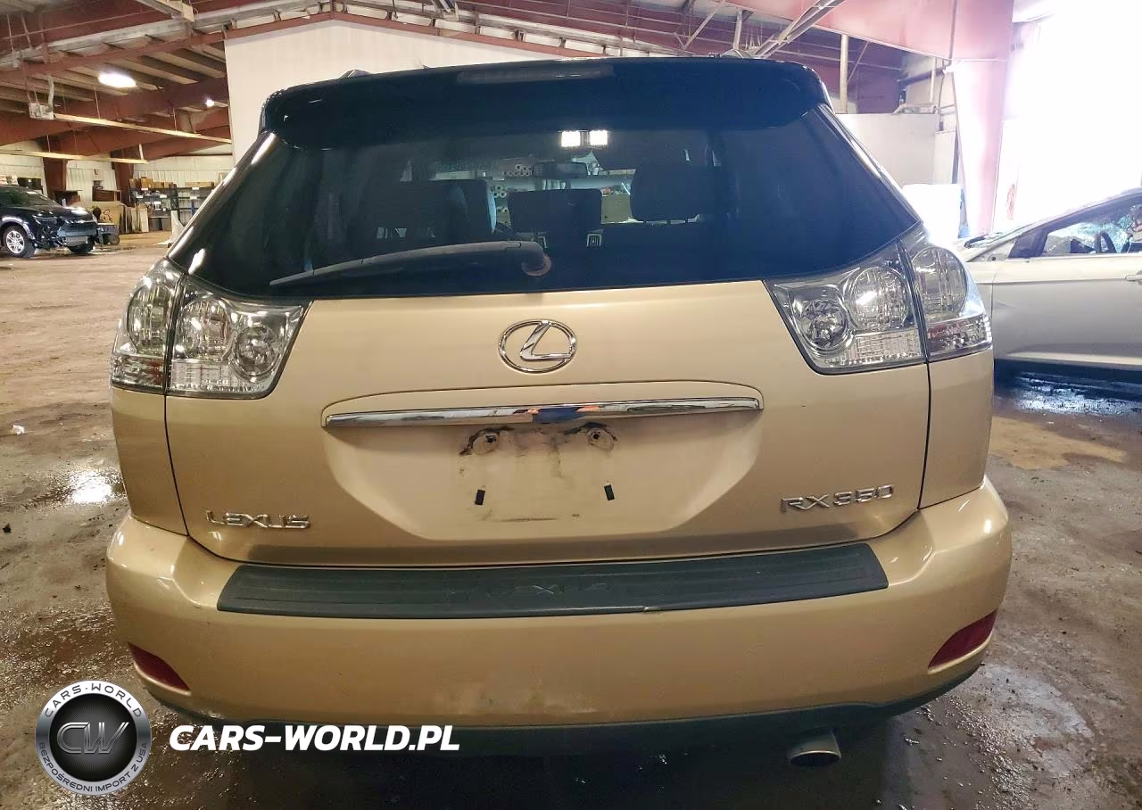 2009 Lexus Rx 350 VIN:2T2HK31U59C102652 - 6