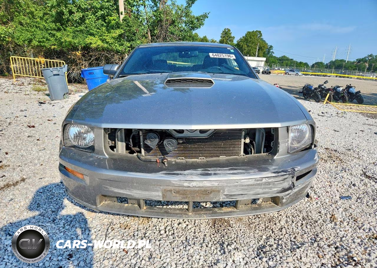 2008 Ford Mustang Gt VIN:1ZVHT82H085154148 - 5