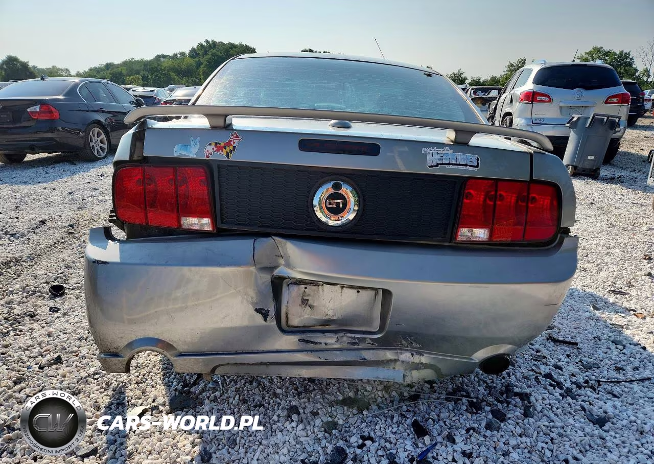 2008 Ford Mustang Gt VIN:1ZVHT82H085154148 - 6
