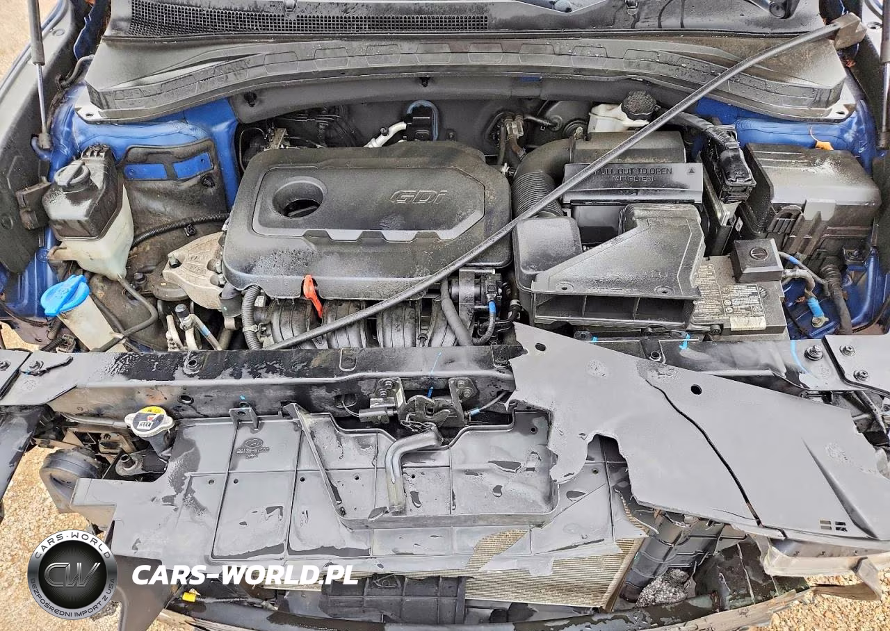 2020 Hyundai Santa Fe Sel VIN:5NMS3CAD7LH157323 - 12