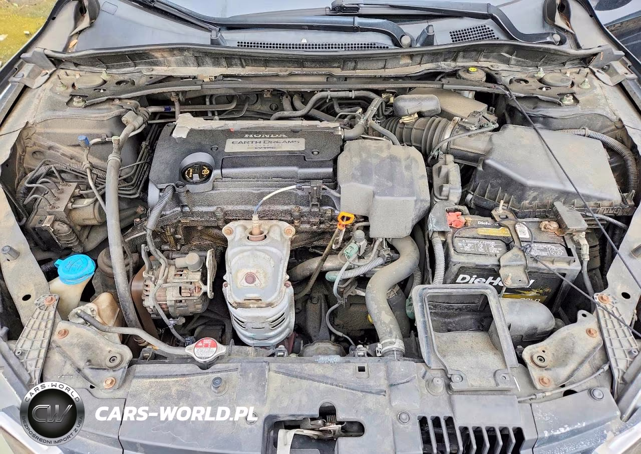 2013 Honda Accord Exl VIN:1HGCR2F82DA128396 - 11